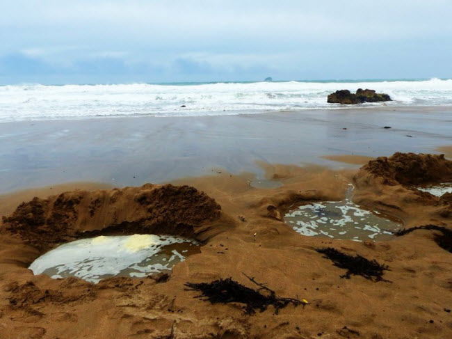 Bãi biển nước nóng, New Zealand: Nếu tới bãi biển này, bạn sẽ thấy du khách đào các hố trên cát và nằm trong đó. Nước thấm qua cát ở đây rất ấm và dễ chịu.