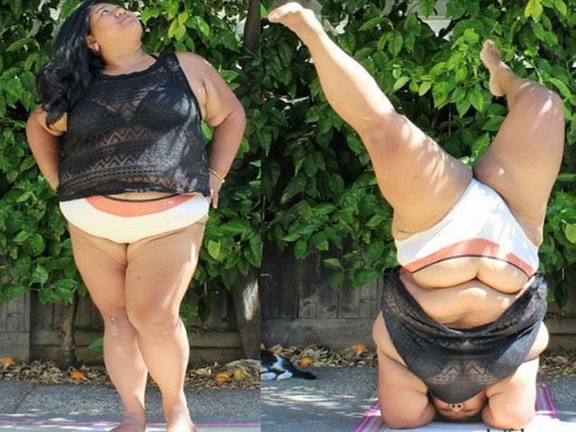 Tranh vui - Tuy béo, nhưng không hề "khô héo" đâu nha!