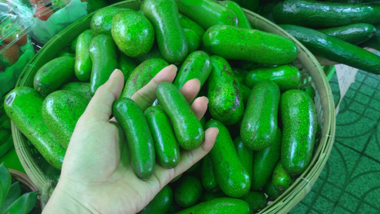 &#34;Siêu phẩm&#34; bơ tí hon không hạt khiến người tiêu dùng trố mắt - 2