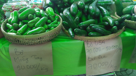 &#34;Siêu phẩm&#34; bơ tí hon không hạt khiến người tiêu dùng trố mắt - 3
