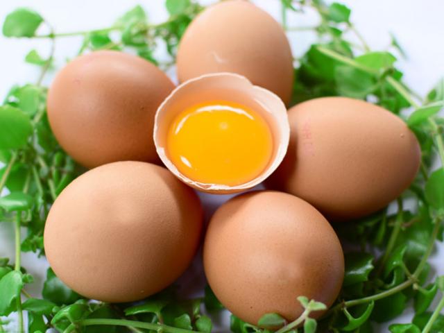 Sức khỏe đời sống - Lời khuyên "vàng" cho sĩ tử mùa thi