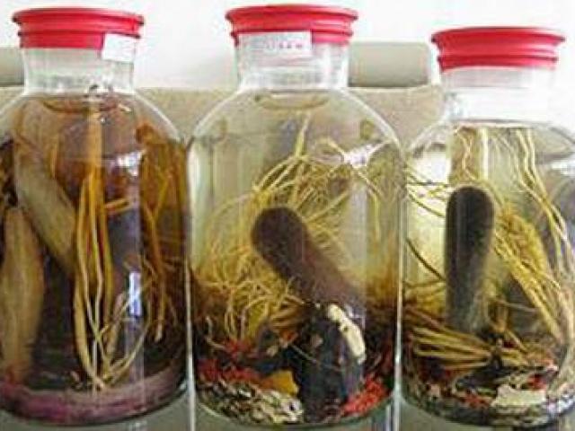 Rượu thuốc giúp quý ông ... say vợ