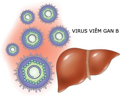 Nhiễm virut viêm gan B có nguy hiểm? - 1