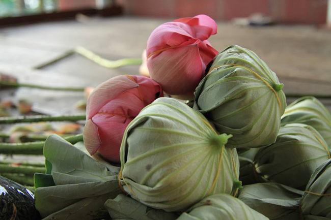 Sau khi cuốn những cánh sen đã ôm lấy trà, người ướp trà dùng chính mảnh lá sen được cắt dưới hồ lên để gói chúng lại, buộc thêm bằng một sợi dây rơm nếp.