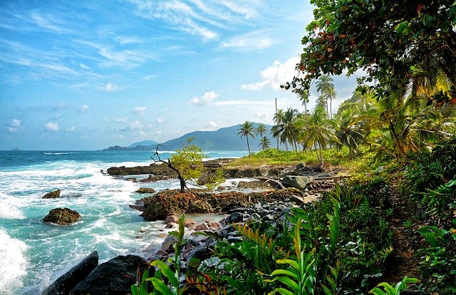 Những chân sút Colombia cừ khôi đến từ đất nước đẹp như tranh vẽ này đây - 8