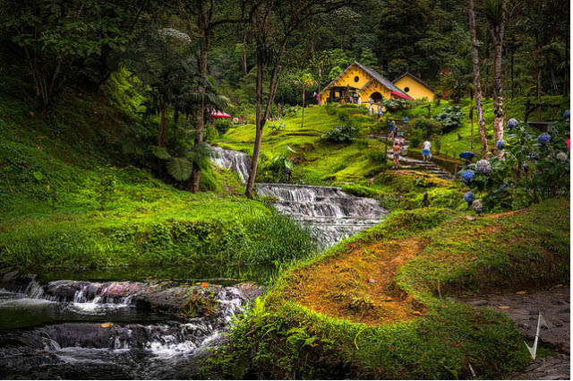 Những chân sút Colombia cừ khôi đến từ đất nước đẹp như tranh vẽ này đây - 9