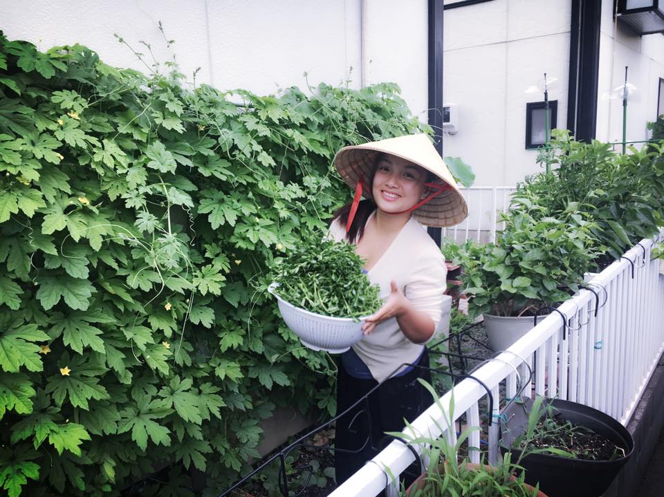Khu vườn xanh mát bội thu rau quả sạch đáng nể của mẹ Việt ở Nhật - 1