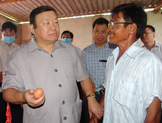 Cận cảnh trại gà lạnh 20.000 con, mỗi ngày "đẻ" hơn 10 triệu tiền lãi - 3