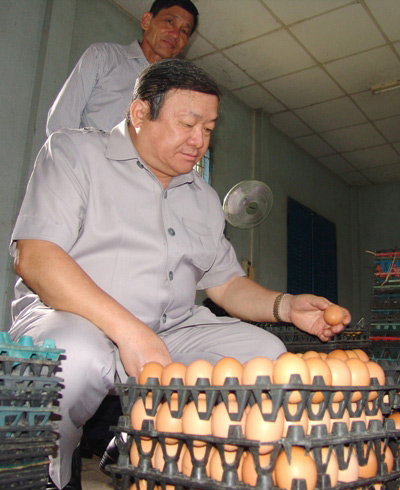 Cận cảnh trại gà lạnh 20.000 con, mỗi ngày "đẻ" hơn 10 triệu tiền lãi - 5