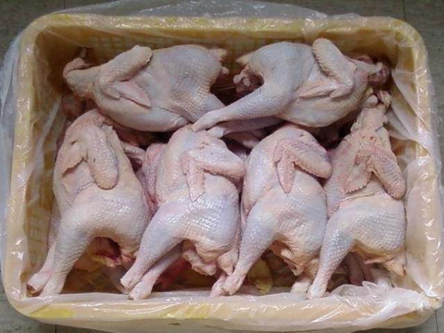 Thị trường - Tiêu dùng - Gà mái đẻ "siêu rẻ" ồ ạt tràn về ngoại ô, đồng giá 70.000 đồng/con