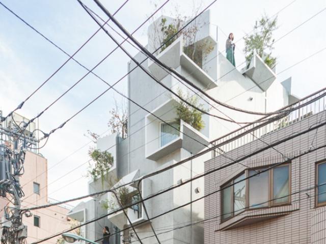 Kinh doanh - Thiết kế nhà giống một cái cây, kiến trúc sư tạo ra "thành quả" khiến ai cũng bất ngờ