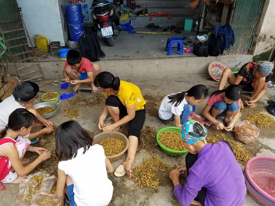 Thu tiền triệu mùa World Cup nhờ…châu chấu - 1