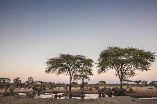 Vườn quốc gia Mana Pools, Zimbabwe: Tại đây, du khách có thể quan sát rất gần cuộc sống của những loài động vật như voi, sư tủ, hươu cao cổ. Vào ban đêm, bạn có thể cắm trại trên thảo nguyên, ngắm sao trời và lặng nghe âm thanh vọng đến từ những bộ lạc địa phương.