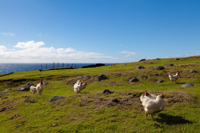 Tristan da Cunha: Đây là quần đảo có người ở xa nhất trên thế giới, cách Nam Phi 2.816 km, cách Nam Mỹ 3.360 km và cách lãnh thổ hải ngoại của Anh Saint Helena  2.173 km về phía nam. Tuy chỉ có 266 người sinh sống, nhưng Tristan da Cunha vẫn có sân gôn 9 lỗ và quán rượu khá nhộn nhịp.