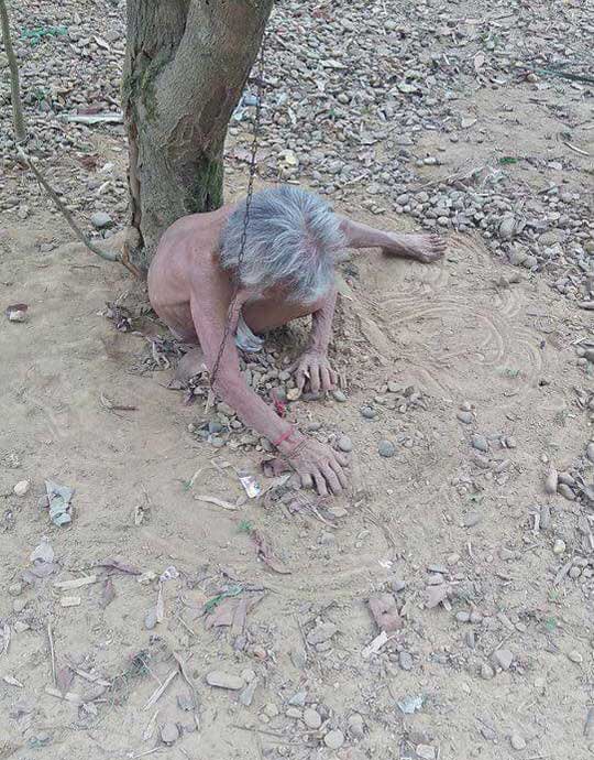 Nóng 24h qua: Giá xăng dầu đồng loạt giảm sâu - 3