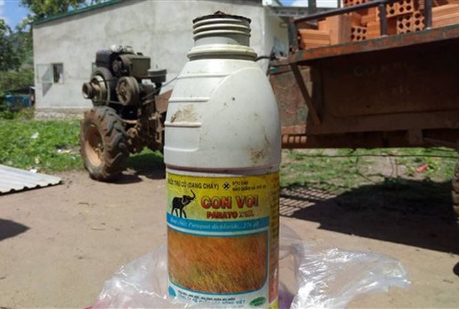 Lo sợ đi tù sau khi đánh người, thiếu niên uống thuốc diệt cỏ tự tử - 1