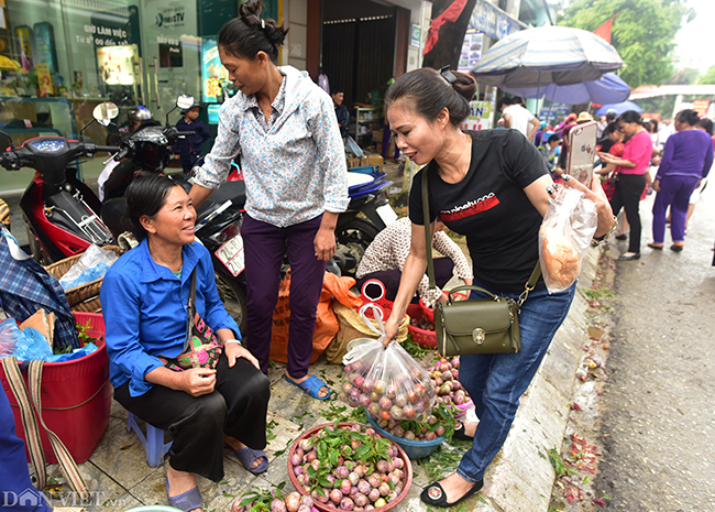 Chị Trang, khách du lịch từ quận Hoàng Mai (Hà Nội) có mặt tại Bắc Hà cùng gia đình. "Tôi sẽ mua nhiều mận về để làm quà, vì Bắc Hà nổi tiếng với mận tam hoa", chị Trang chia sẻ.
