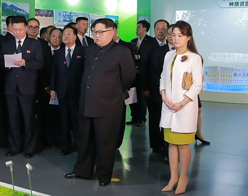 Phu nhân ông Kim Jong Un đẹp như một đoá hồng và mặc rất tinh tế - 11