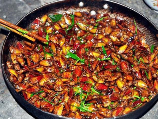 Thị trường - Tiêu dùng - Dân nhậu Hà Thành: Đặc sản "độc" bọ xít khả năng "soán ngôi" bọ cạp