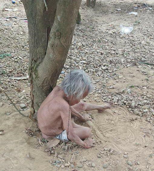 Cụ bà bị xích dưới gốc cây không bị bệnh tâm thần - 1