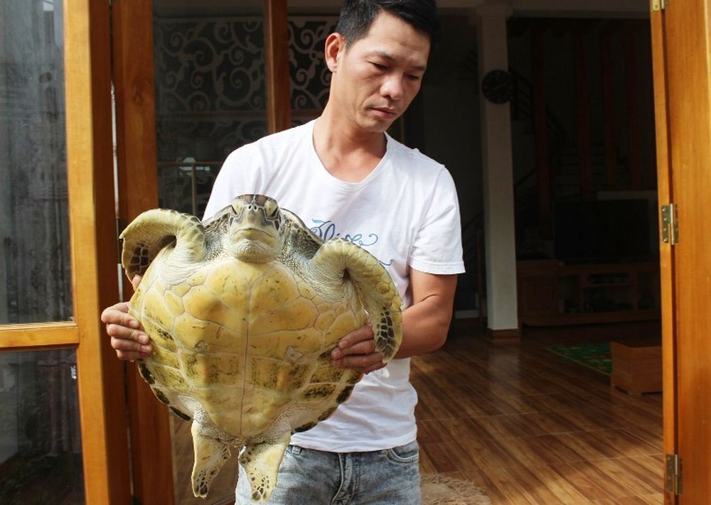 Bỏ 5 triệu đồng mua rùa biển, người đàn ông bất ngờ với thứ mình mua được - 1