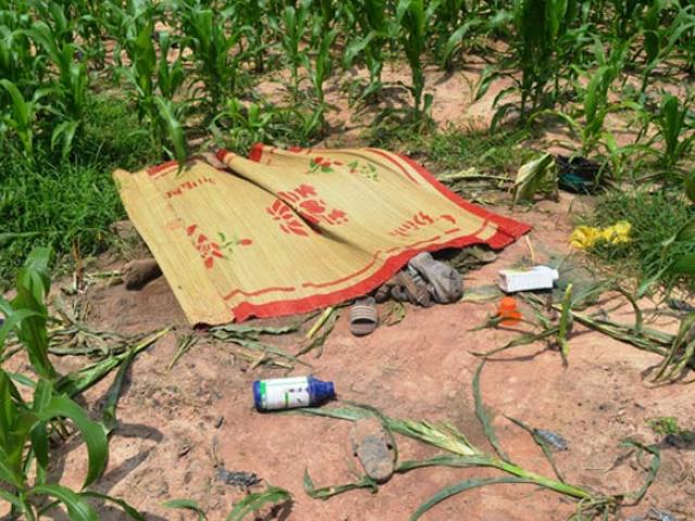 Pháp luật - Hoảng hồn phát hiện đôi nam nữ tử vong trên ruộng bắp