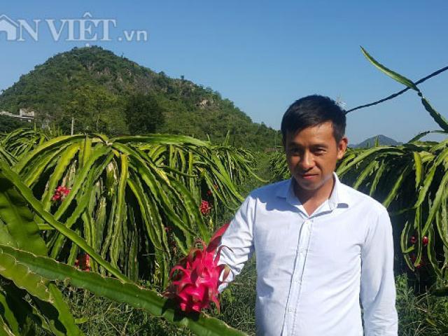 Thị trường - Tiêu dùng - 8X bỏ việc lương cao về quê "nghịch đất", lãi 300 triệu/năm.