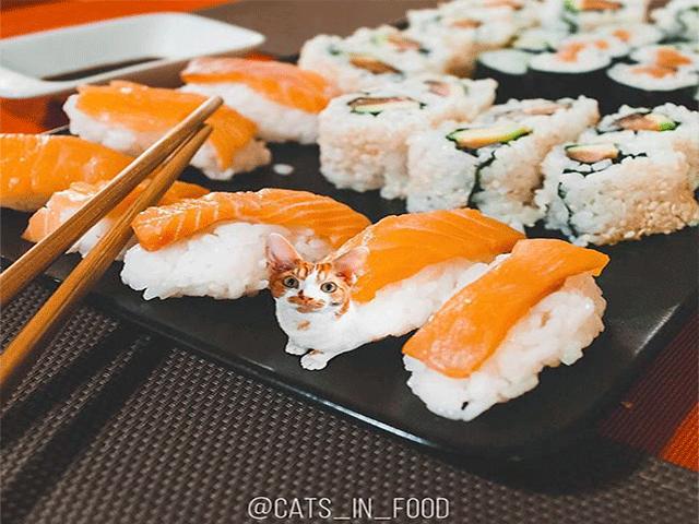 Ẩm thực - Ngã ngửa trước loại "nguyên liệu" đặc biệt có trong những món ăn này