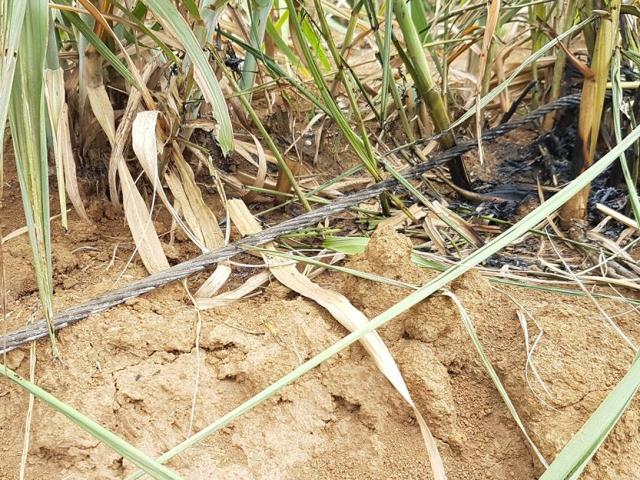 Tin tức trong ngày - Vụ 4 người bị điện giật tử vong: Đơn vị nhận thầu tự ý thi công