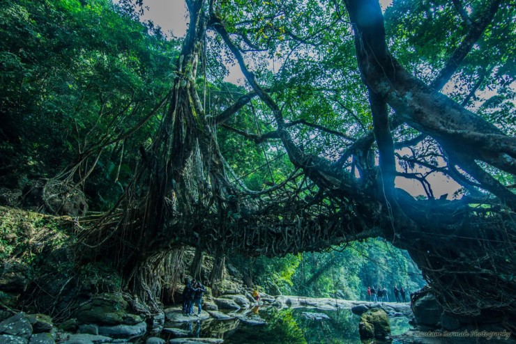 Việt Nam có tới 2 địa danh lọt top 10 kỳ quan thiên nhiên đáng kinh ngạc nhất châu Á - 1