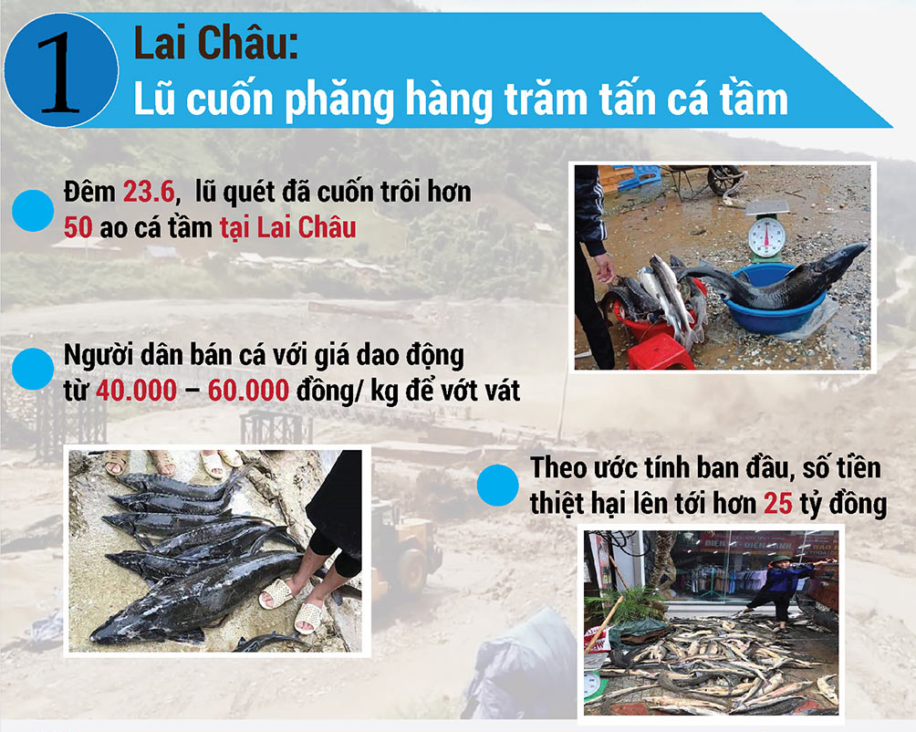 Nóng tuần qua: 1 tạ bí đao không mua nổi 2kg thịt lợn, tan giấc mộng ô tô giảm giá - 2