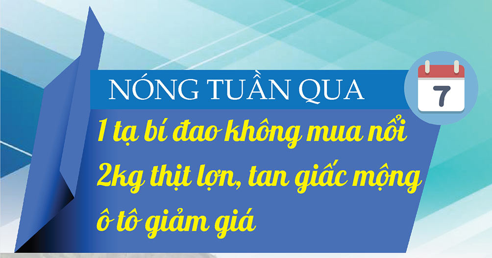 Nóng tuần qua: 1 tạ bí đao không mua nổi 2kg thịt lợn, tan giấc mộng ô tô giảm giá - 1