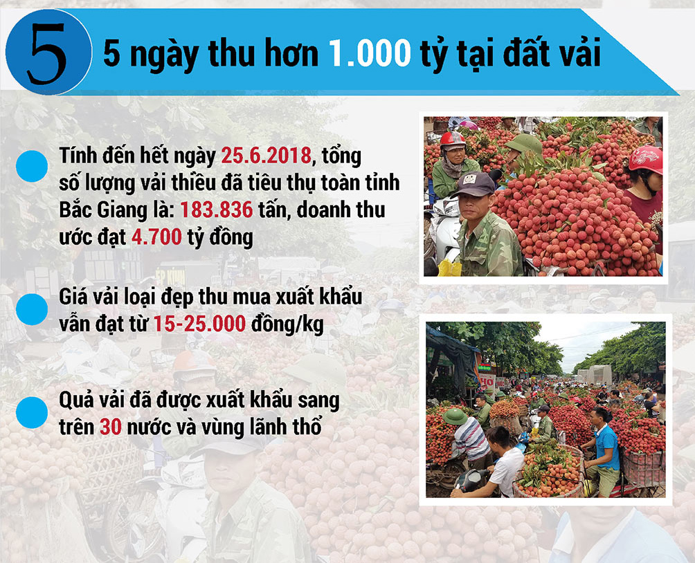 Nóng tuần qua: 1 tạ bí đao không mua nổi 2kg thịt lợn, tan giấc mộng ô tô giảm giá - 6