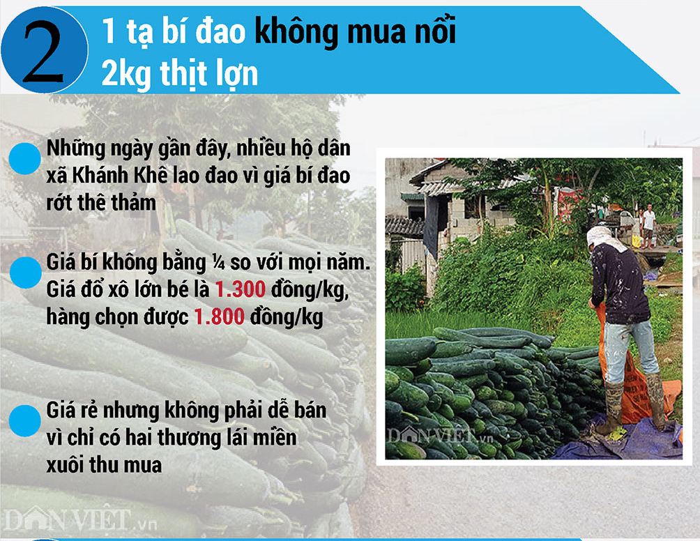 Nóng tuần qua: 1 tạ bí đao không mua nổi 2kg thịt lợn, tan giấc mộng ô tô giảm giá - 3