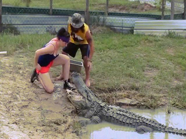 Phi thường - kỳ quặc - Cô gái liều mạng hôn mũi "thần chết" - cá sấu khổng lồ