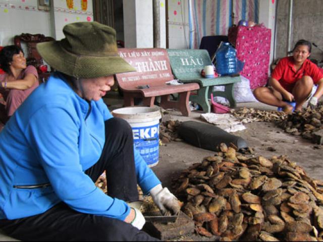 Thị trường - Tiêu dùng - U70 "nhặt" hạt người ta vứt đi mà kiếm bộn tiền