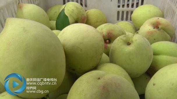 Chi 40 triệu, có ngay quả "đào vua" ăn 3 miếng là... hết - 2