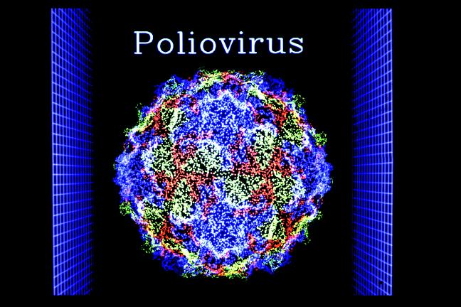 Virus bại liệt có thể giúp điều trị ung thư não - 1