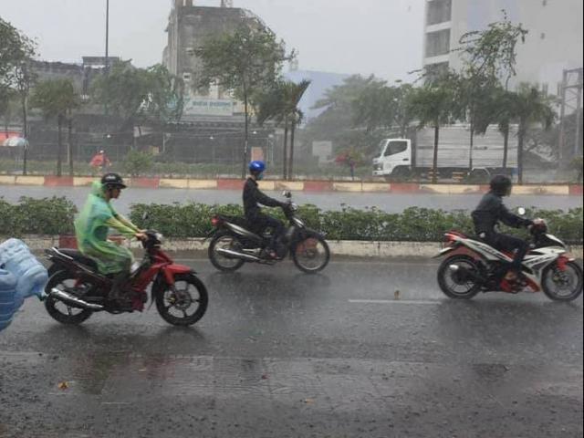 Tin tức trong ngày - Mưa “vàng” trút xuống Sài Gòn sau chuỗi ngày nắng cháy da