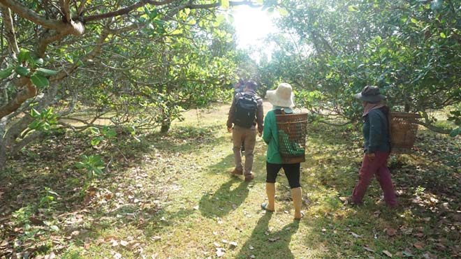 Dân nườm nượp tìm tiền, vàng sau vụ bắt sòng bạc "khủng" ở Gia Lai - 6