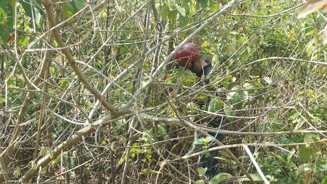 Dân nườm nượp tìm tiền, vàng sau vụ bắt sòng bạc "khủng" ở Gia Lai - 5