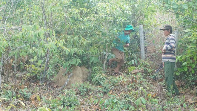 Dân nườm nượp tìm tiền, vàng sau vụ bắt sòng bạc "khủng" ở Gia Lai - 4