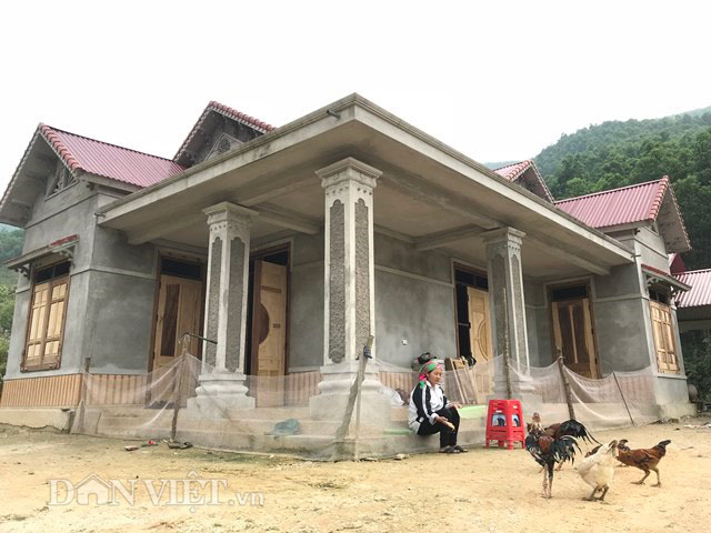 Ngắm rừng keo xanh mướt, đàn dê béo khoẻ "đẻ" ra tiền ở Na Sàng - 4