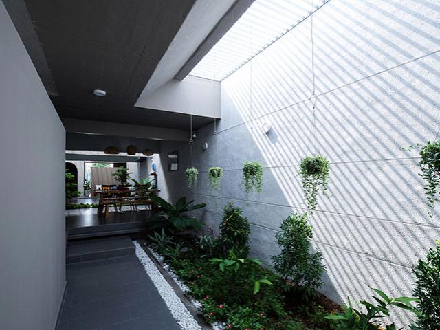 Kinh doanh - Khám phá "hang Sơn Đoòng" trong căn nhà cấp 4 nhỏ bé ở Vĩnh Long