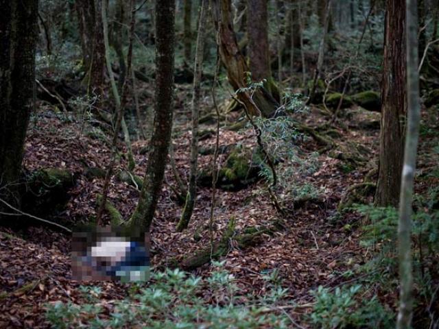 7 thi thể du khách trong rừng vắng: Những cái chết đau đớn