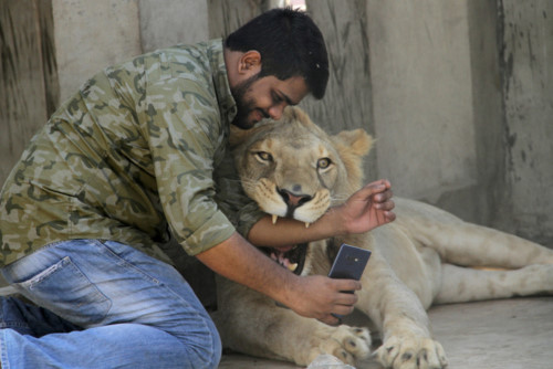 Hai anh em người Pakistan nuôi sư tử làm thú cưng - 2