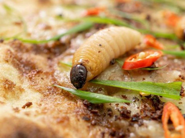 Món ăn kinh dị bậc nhất thế giới: Pizza đuông dừa bò lổm ngổm