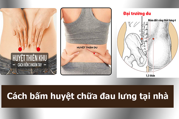 3 cách bấm huyệt chữa đau lưng cấp và mãn tính tại nhà cho tác dụng nhanh - 1