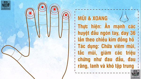 Cách bấm huyệt bàn tay chữa đau họng, viêm xoang, đau nhức xương khớp - 2