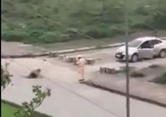 Nóng trong tuần: Tìm ra kẻ chủ mưu vụ nữ sinh giao gà bị sát hại ở Điện Biên - 3